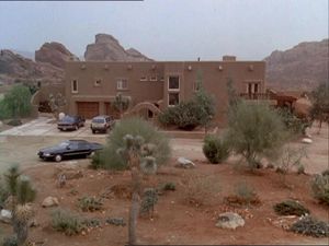Night Of The Coyote