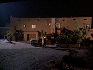 Night Of The Coyote