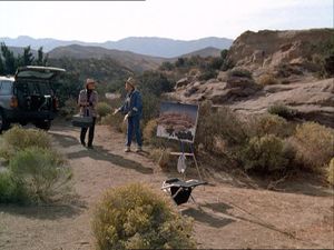 Night Of The Coyote