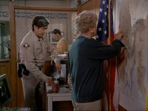 Night Of The Coyote