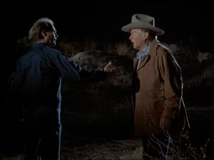 Night Of The Coyote
