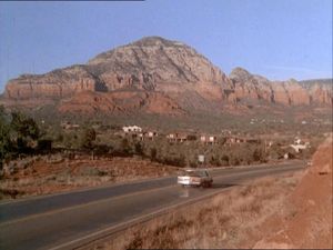 Night Of The Coyote