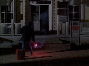 Night Of The Coyote