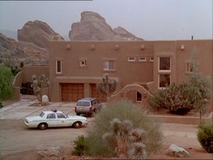 Night Of The Coyote