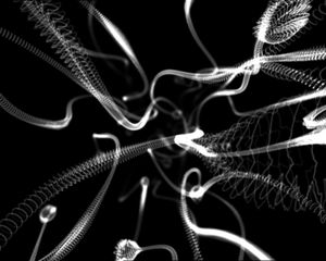 Air: Electronic Performers