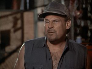 Don Stroud