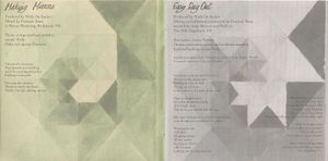 Gotye: Making Mirrors