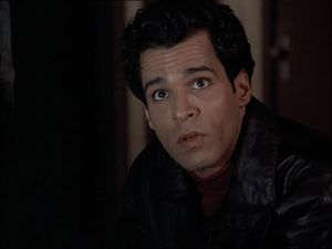 Joe Maruzzo