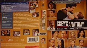 Grey's Anatomy: Complete Fifth Season (More Moments)