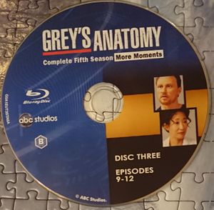 Grey's Anatomy: Complete Fifth Season (More Moments)