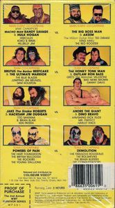 WWF The 2nd Annual Survivor Series