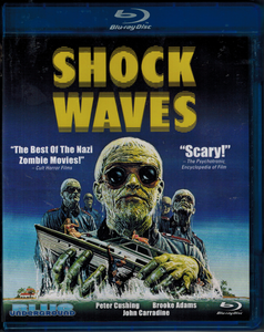 Shock Waves