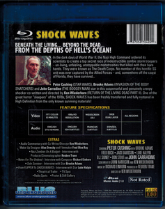 Shock Waves