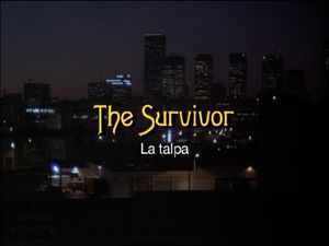 The Survivor