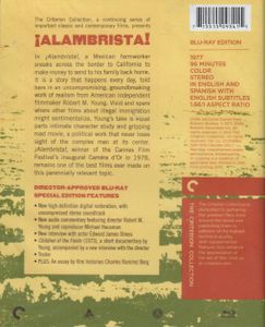 ¡Alambrista!