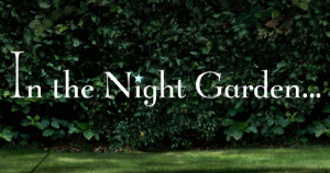 In The Night Garden...