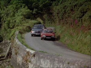 A Killing In Cork