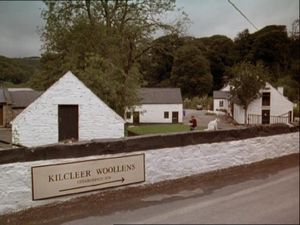 A Killing In Cork