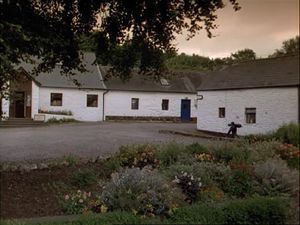 A Killing In Cork