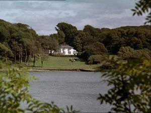 A Killing In Cork