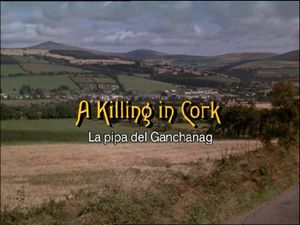 A Killing In Cork
