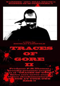 Traces of Gore II