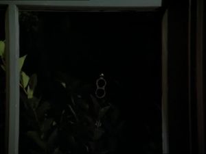 Love & Hate In Cabot Cove