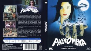 Phenomena