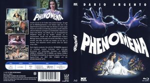 Phenomena