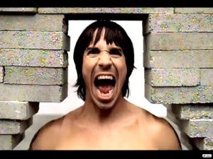Red Hot Chili Peppers: Can't Stop