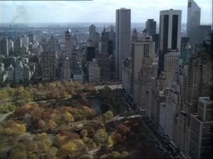 Murder On The Thirtieth Floor