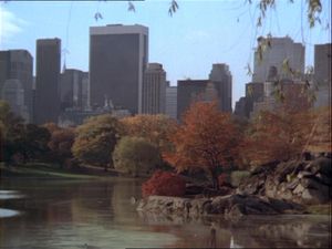 Murder On The Thirtieth Floor