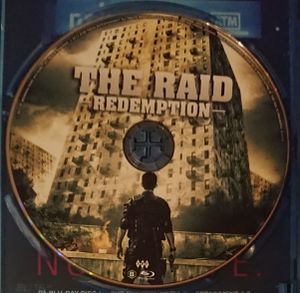 The Raid: Redemption