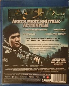 The Raid: Redemption