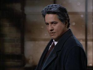 Robert Beltran