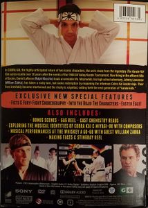 Cobra Kai Seasons 1 & 2