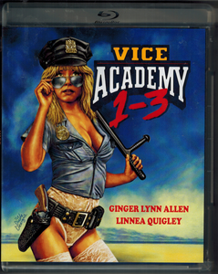 Vice Academy 1-3