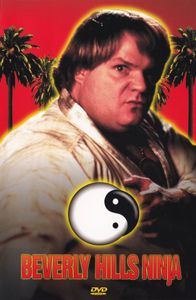Beverly Hills Ninja