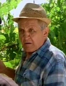 Romano Ghini