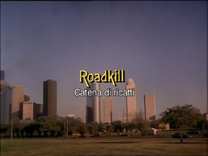 Roadkill