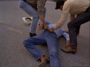 Roadkill