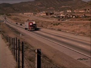 Roadkill