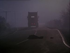 Roadkill