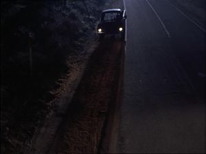 Roadkill