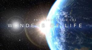 Wonders of Life