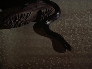 A Nest Of Vipers