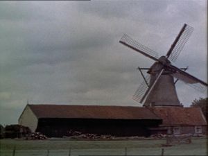 Amsterdam Kill