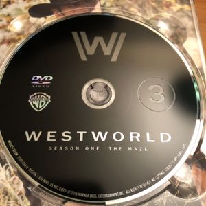 Westworld Season One: The Maze