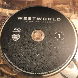 Westworld Season Two: The Door