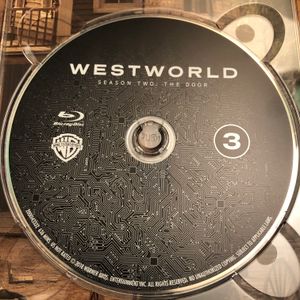 Westworld Season Two: The Door